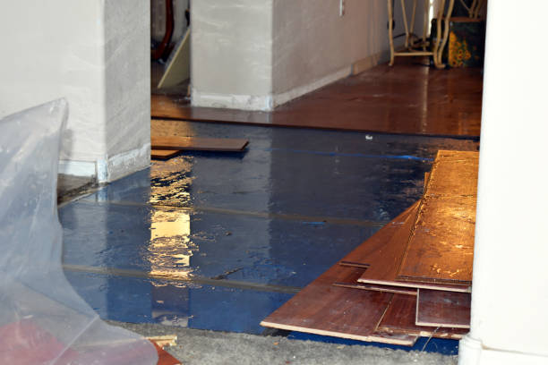 Professional Sewage Cleanup technician working in Leipsic, OH